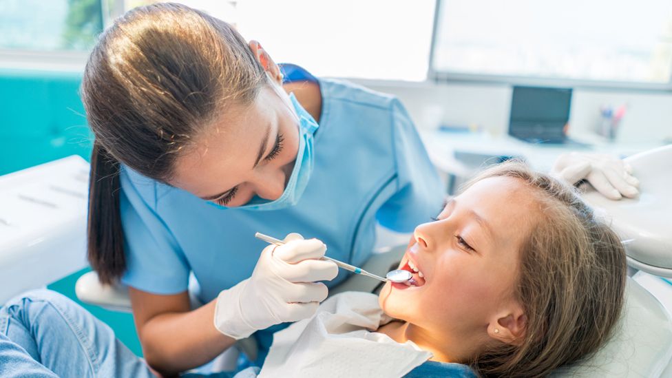 Why do you have to go to the dentist every 6 months?